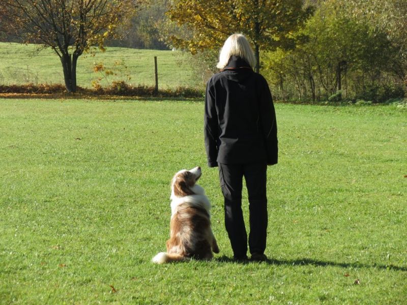 Begleithundeprüfung Herbst 2015