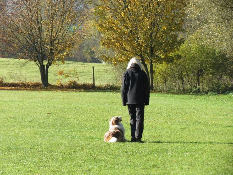 Begleithundeprüfung Herbst 2015