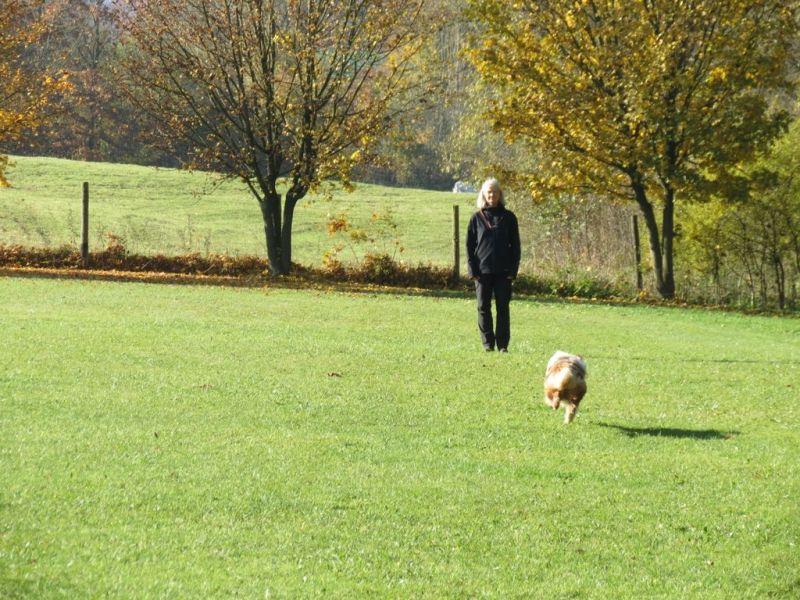 Begleithundeprüfung Herbst 2015