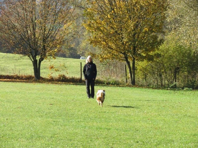 Begleithundeprüfung Herbst 2015