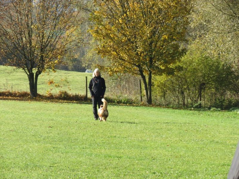 Begleithundeprüfung Herbst 2015