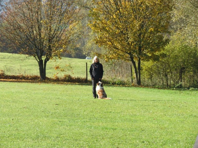 Begleithundeprüfung Herbst 2015