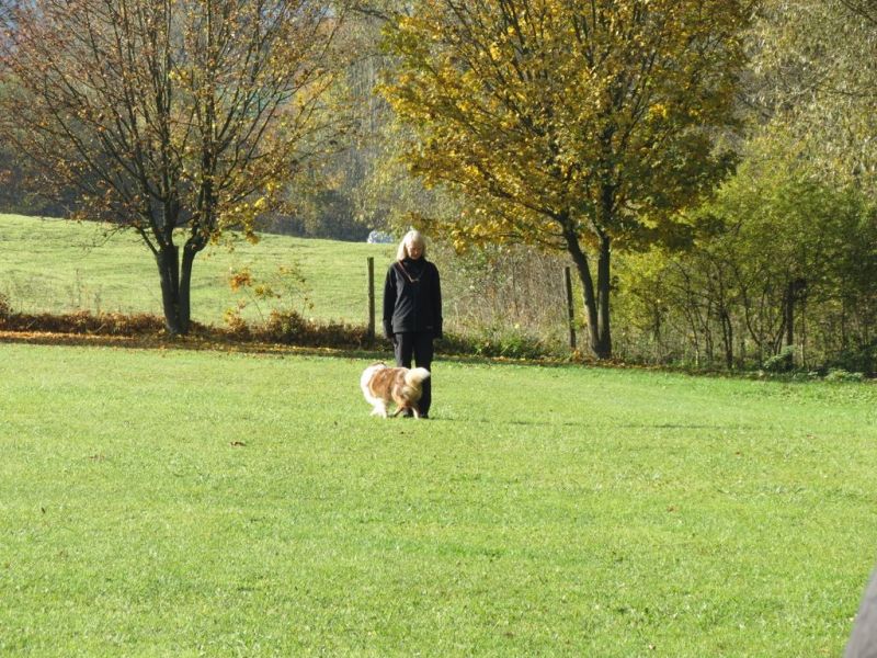 Begleithundeprüfung Herbst 2015