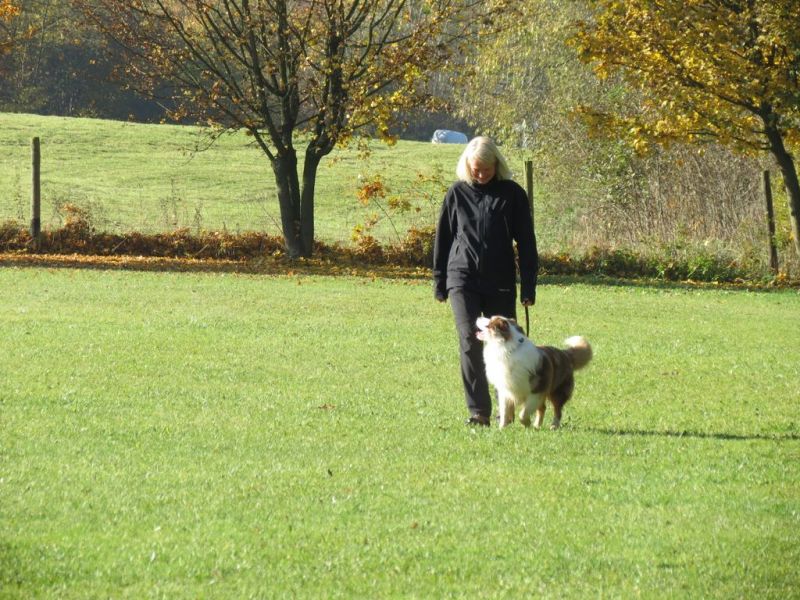 Begleithundeprüfung Herbst 2015