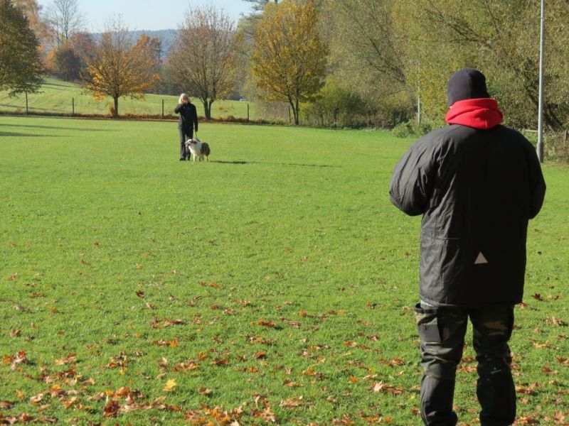 Begleithundeprüfung Herbst 2015
