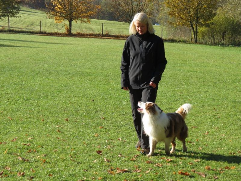 Begleithundeprüfung Herbst 2015