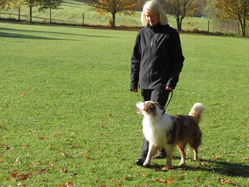 Begleithundeprüfung Herbst 2015