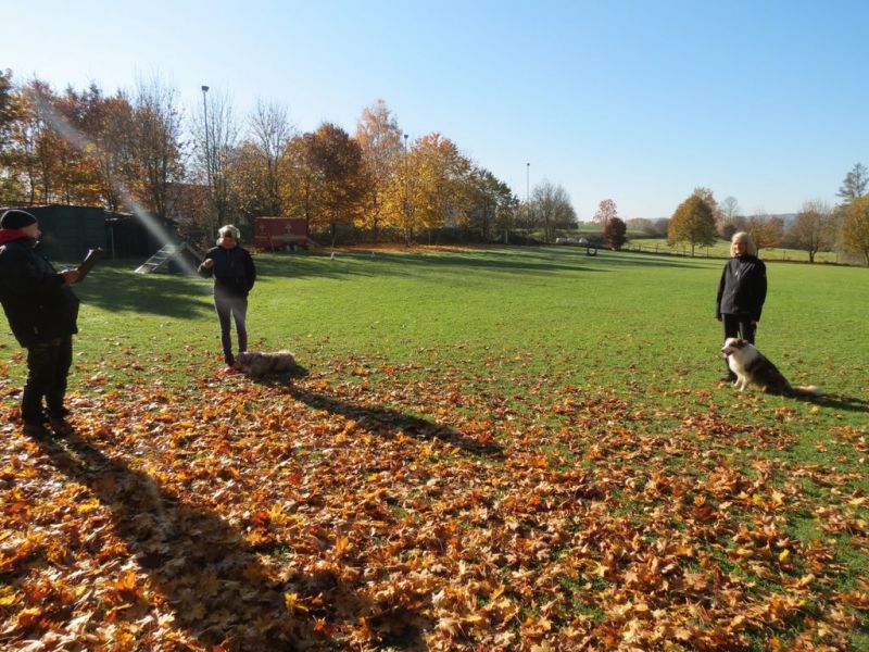 Begleithundeprüfung Herbst 2015