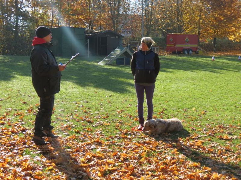 Begleithundeprüfung Herbst 2015