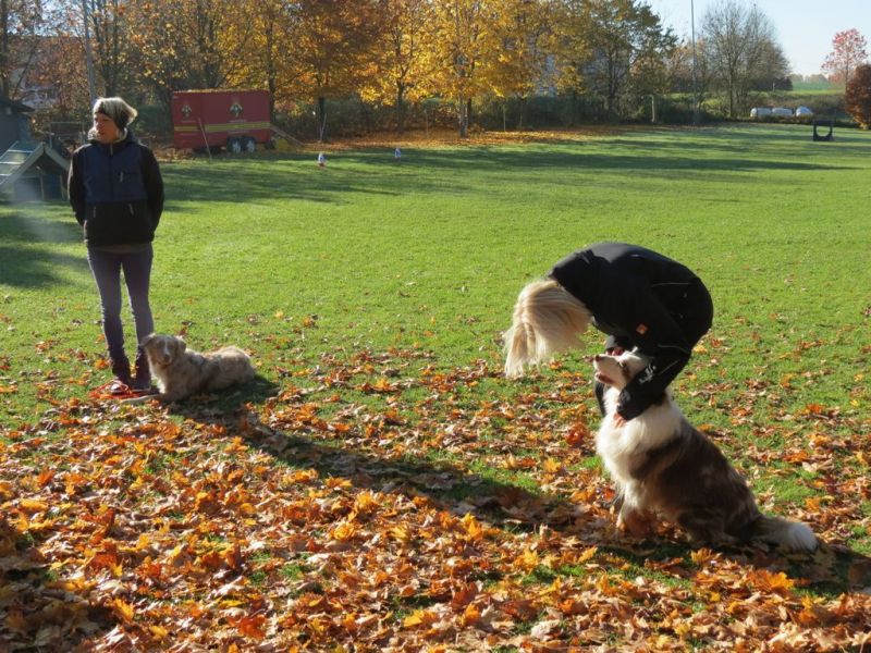 Begleithundeprüfung Herbst 2015