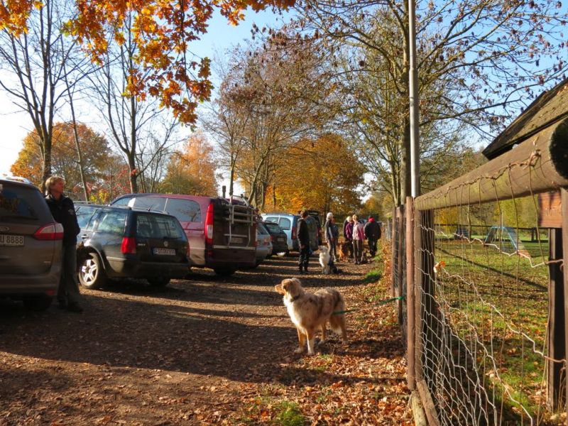 Begleithundeprüfung Herbst 2015