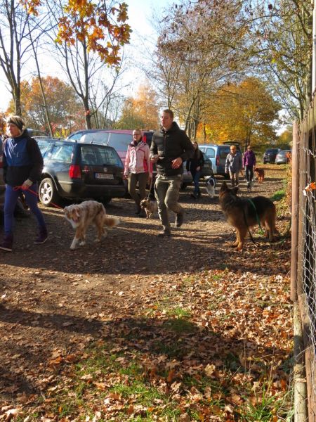 Begleithundeprüfung Herbst 2015