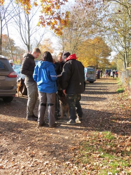 Begleithundeprüfung Herbst 2015
