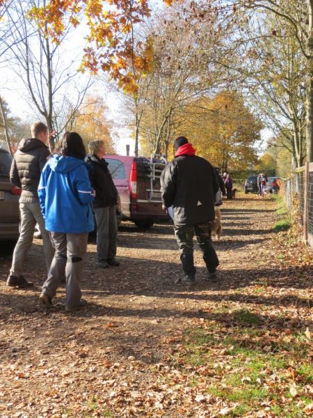 Begleithundeprüfung Herbst 2015