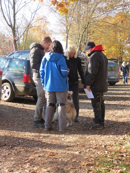Begleithundeprüfung Herbst 2015