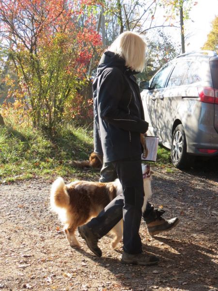 Begleithundeprüfung Herbst 2015
