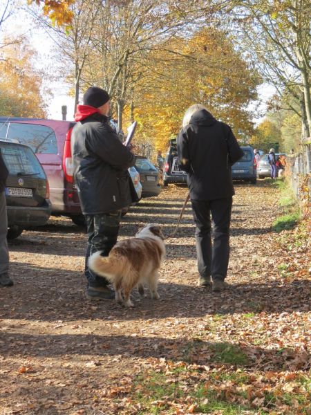 Begleithundeprüfung Herbst 2015