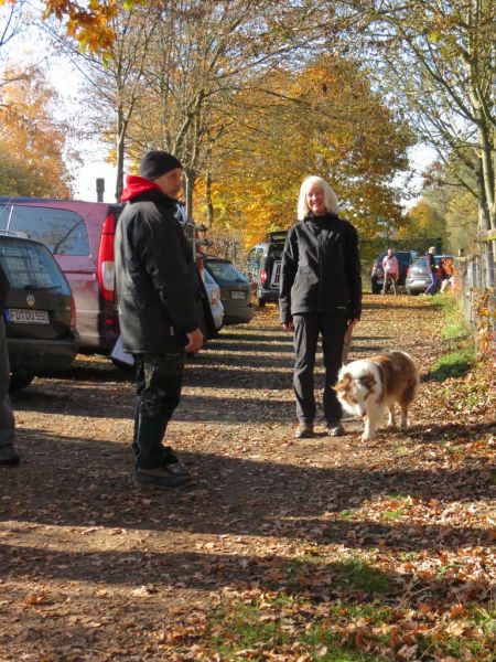 Begleithundeprüfung Herbst 2015