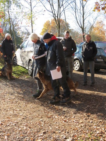 Begleithundeprüfung Herbst 2015