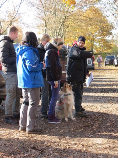 Begleithundeprüfung Herbst 2015