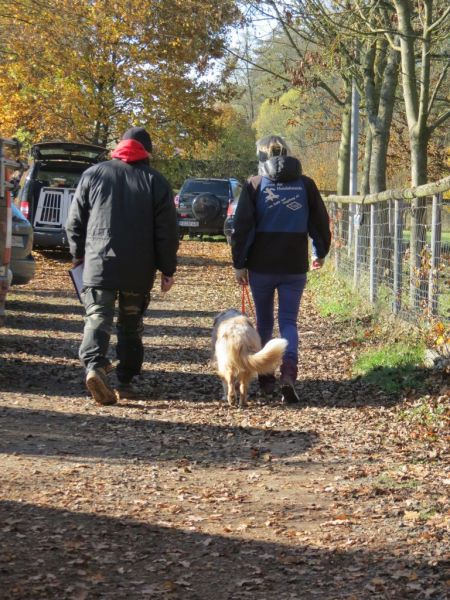 Begleithundeprüfung Herbst 2015