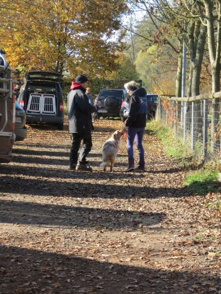 Begleithundeprüfung Herbst 2015