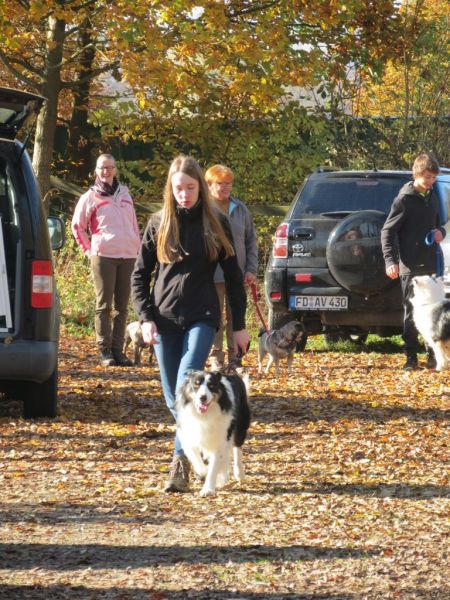 Begleithundeprüfung Herbst 2015