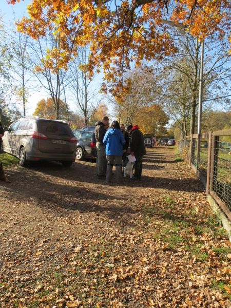 Begleithundeprüfung Herbst 2015