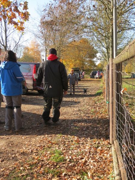 Begleithundeprüfung Herbst 2015