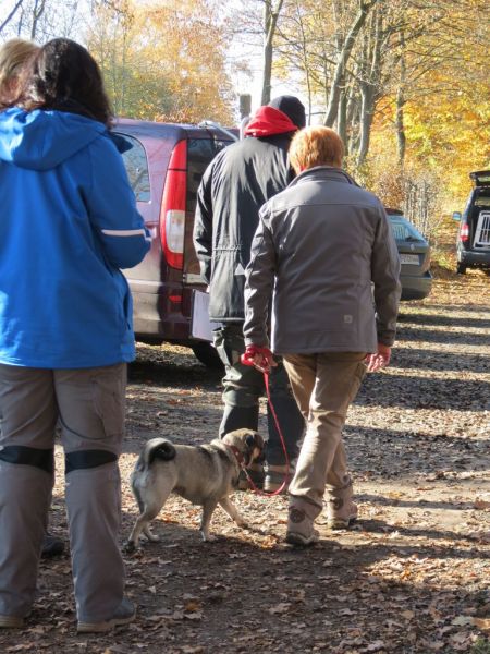 Begleithundeprüfung Herbst 2015