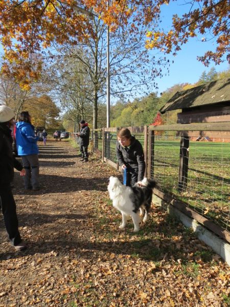 Begleithundeprüfung Herbst 2015