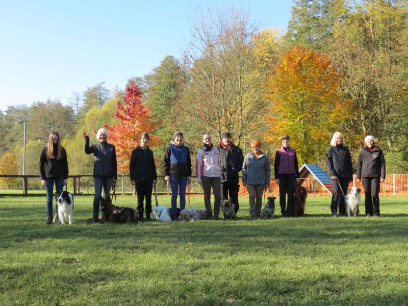 Begleithundeprüfung Herbst 2015