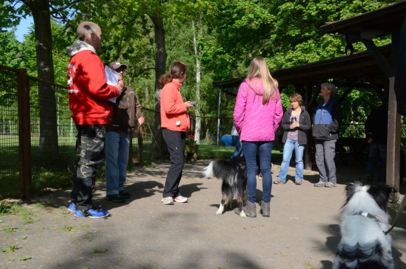 BH Prüfung Mai 2015