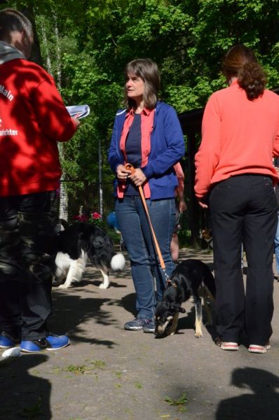 BH Prüfung Mai 2015