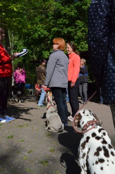 BH Prüfung Mai 2015