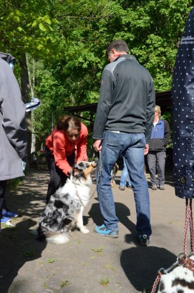 BH Prüfung Mai 2015