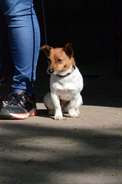 BH Prüfung Mai 2015