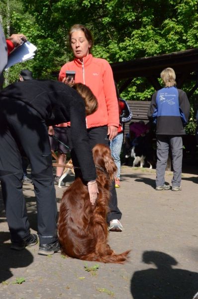 BH Prüfung Mai 2015