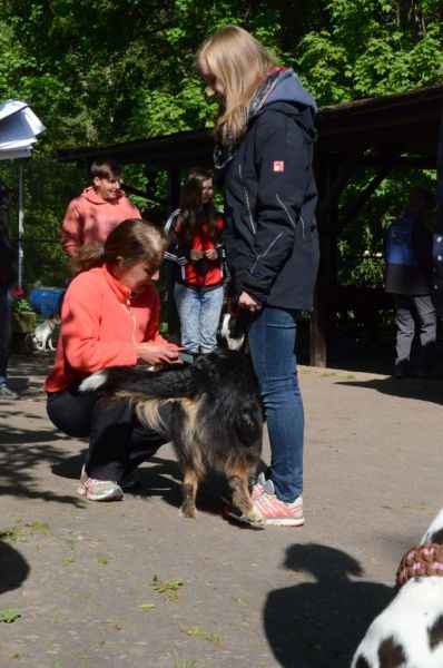 BH Prüfung Mai 2015