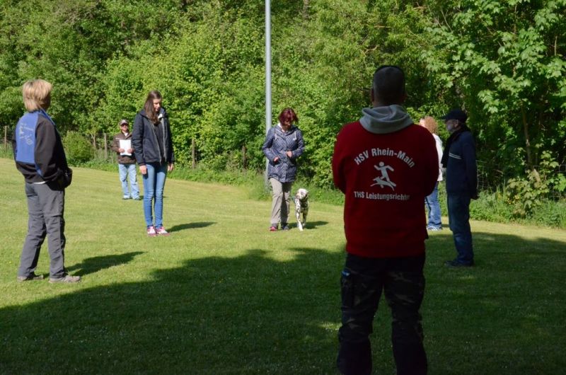 BH Prüfung Mai 2015