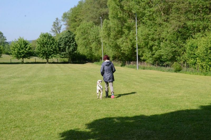 BH Prüfung Mai 2015
