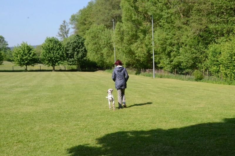 BH Prüfung Mai 2015