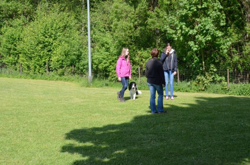 BH Prüfung Mai 2015