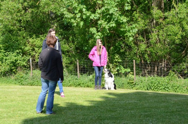 BH Prüfung Mai 2015