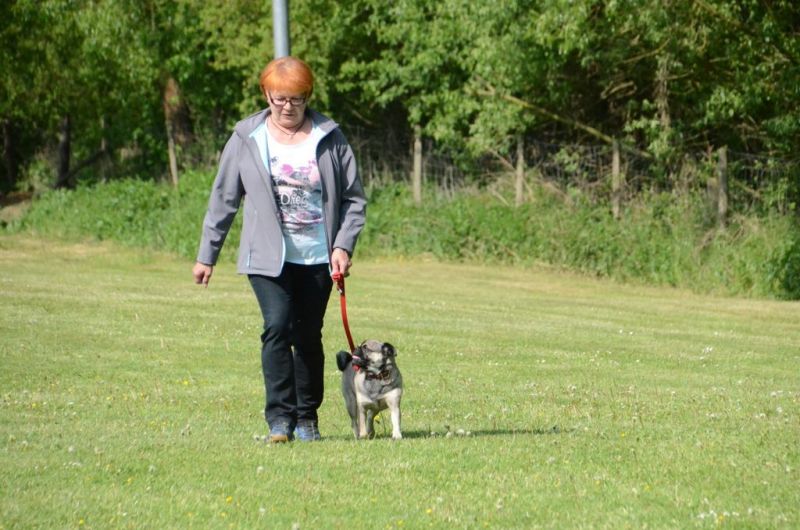 BH Prüfung Mai 2015