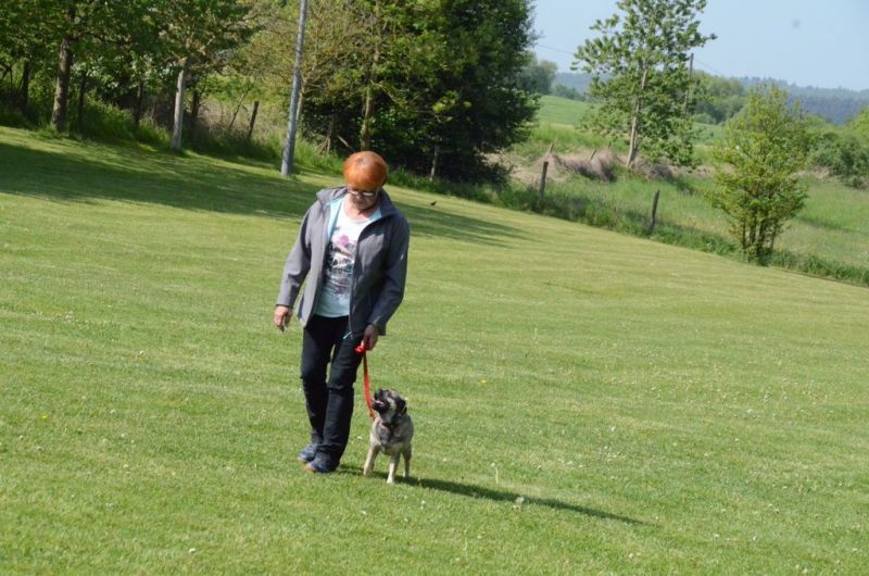 BH Prüfung Mai 2015
