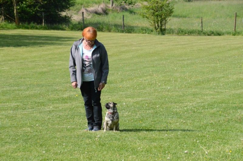 BH Prüfung Mai 2015