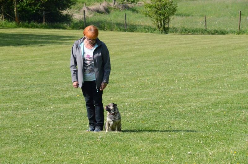 BH Prüfung Mai 2015