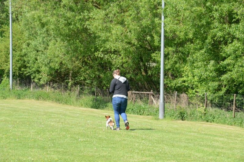 BH Prüfung Mai 2015