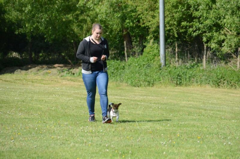 BH Prüfung Mai 2015